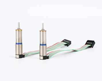 Präzisionsinstrument-φ12 mm DC-Bürsten-Getriebemotor + Encoder